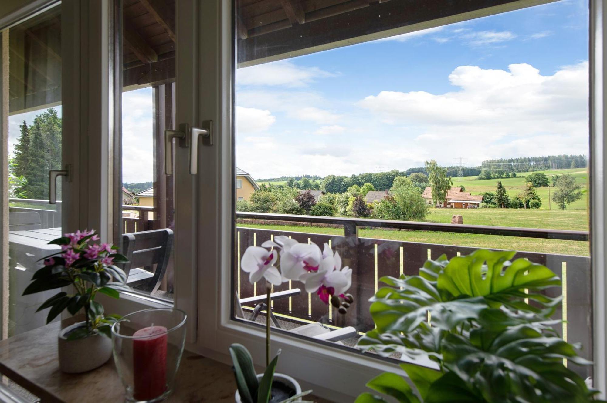 Ado Ferienwohnung Grafenhausen Bagian luar foto